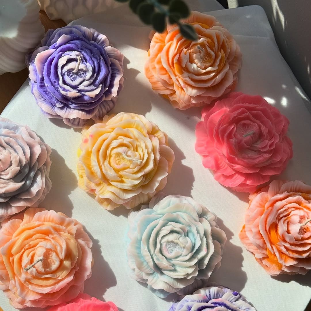 Flickering into your feed with our first collection 🦋🌼