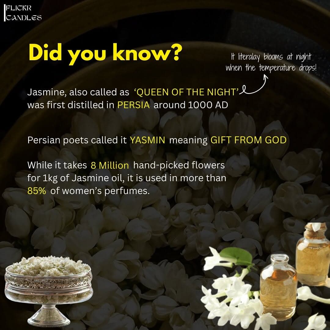 POV: You just learned jasmine is basically liquid gold that makes your brain hap thumbnail 2